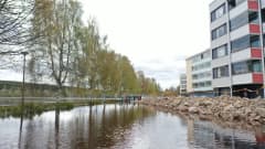 Tukkihaminan taloyhtiö Rovaniemen keskustassa on varautunut tulvaan uppopumpuin ja suojavallein