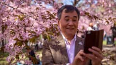 Norio Tomido, ottaa selfien Roihuvuoren kirsikkapuistossa.