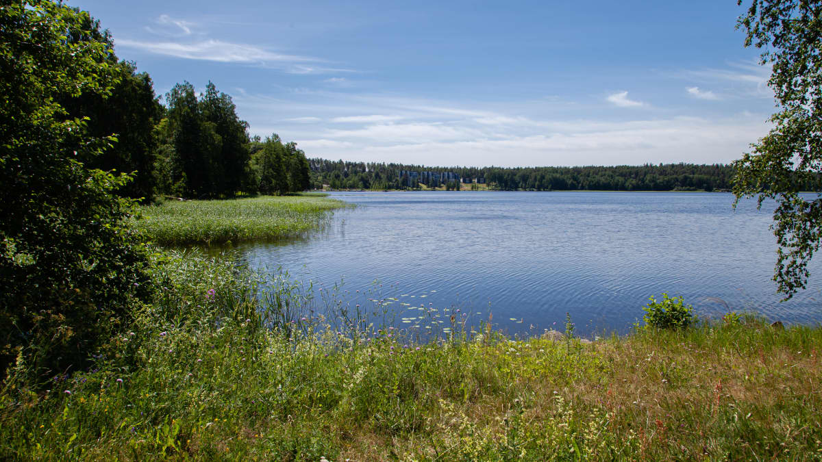 Lappeenrannan rantaraitilta näkyy Saimaan Sunisenselkä.
