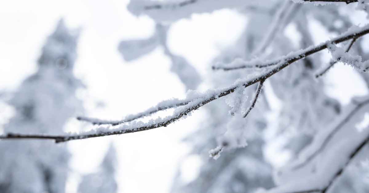 Suomessa pakkasvaroitus etelää myöden