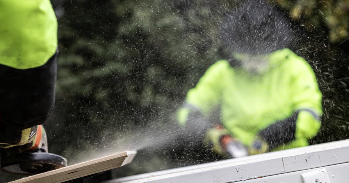 Yrittäjä keksi, miten jätepuu muutetaan arvokkaaksi raaka-aineeksi – 'Hinta nousee moninkertaiseksi'