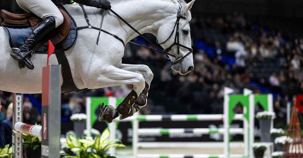 Suomen ratsastusurheilussa kuohuu – virhe vei 330 000 euroa valtion tukia, kevätkokous keskeytettiin