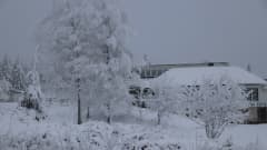 Lunta vaaran päällä, takana näkyy Naapurinvaaran Huvikeskus.