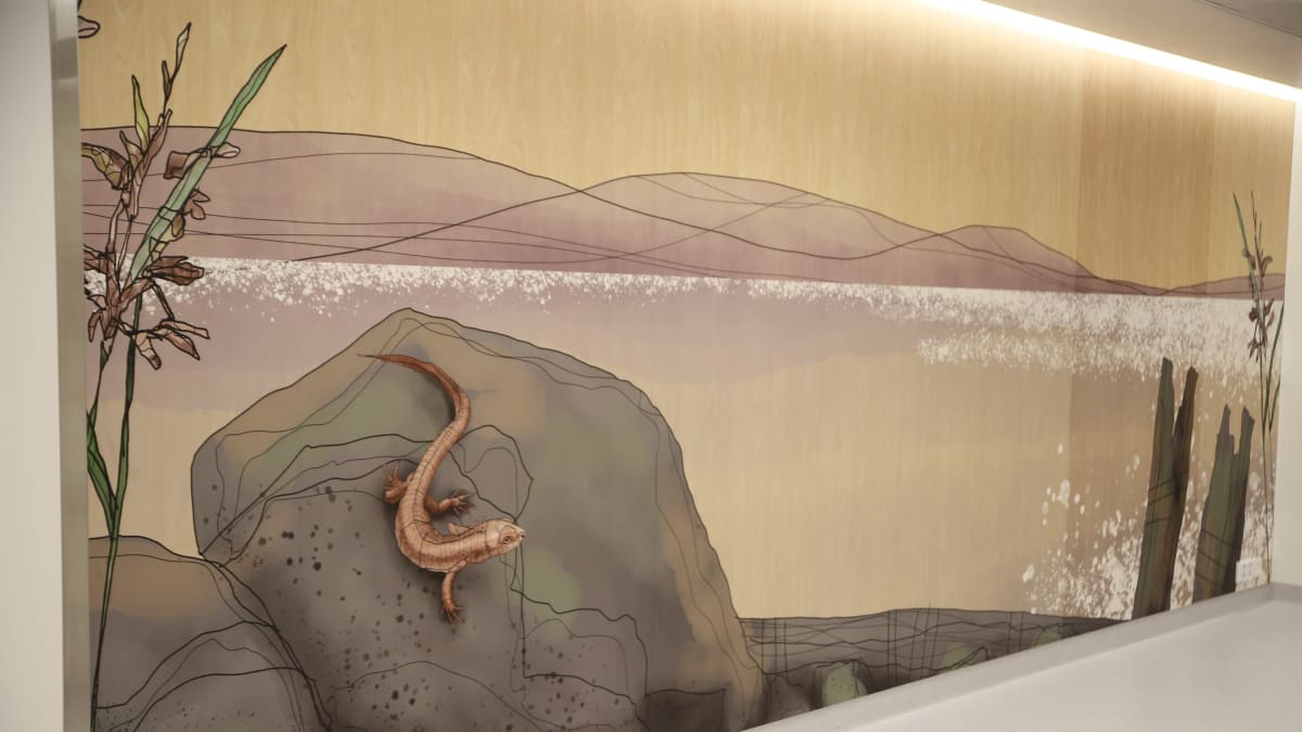 Sairaalan seinällä luontokuva, missä lisko kivellä
