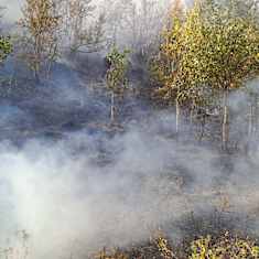 Sevettijärven Jänispäällä syttyi metsäpalo 10.9. kova tuuli vaikeuttaa sammutustöitä.