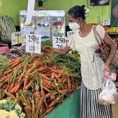 nainen valitsee porkkanoita isosta porkkanakasasta sisätorilla sri lankassa