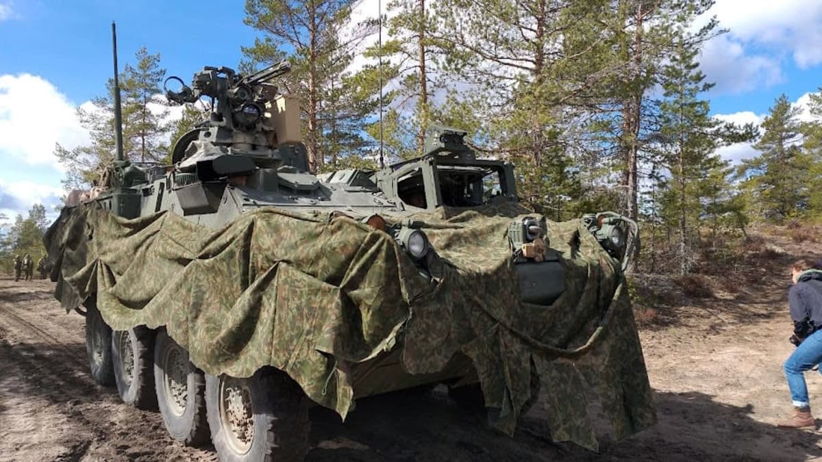 Sotilasajoneuvo hiekkaisessa metsikössä. Päällä maastokangasta.