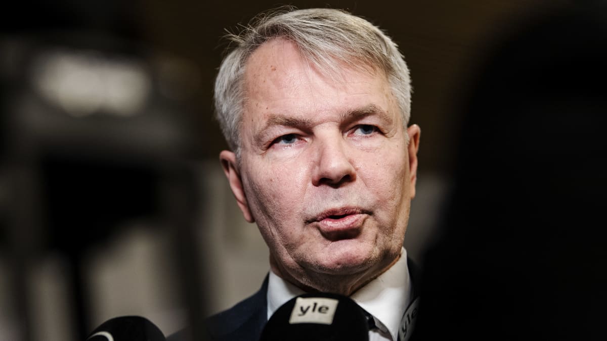 Ulkoministeri Pekka Haavisto (vihr.) oli ulkoasianvaliokunnan kokouksessa kuultavana asiantuntijana maaliskuussa.