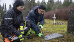 Seurakuntamestari Raili Räihä ja seurakuntapuutarhuri Hannu Huttunen tutkivat hoitamatonta hautaa Kirkon hautausmaalla Pielavedellä.