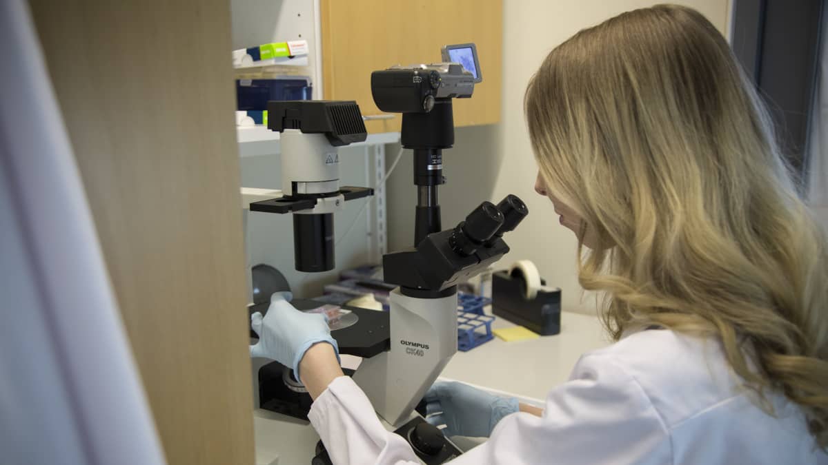 Maisteriopiskelija Marielle Savelius tutkii mikroskoopilla syöpäsoluja