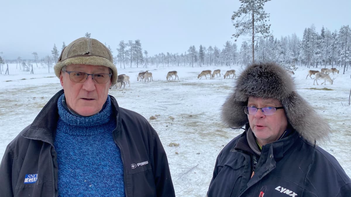 Oraniemen paliskunnan poronhoitajat Kalle Kuntonen ja Olli Pulju. Sodankylä tammikuu 2021. 