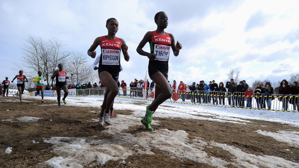 Faith Kipyegon vauhdissa maastojuoksun MM-kisojen juniorisarjassa 2013 Puolan Bydgoszczissa.