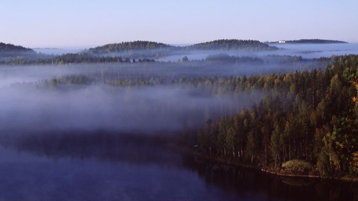 Ett åslandskap i Puumala med skog, sjö och dimma som hänger över trädtopparna.