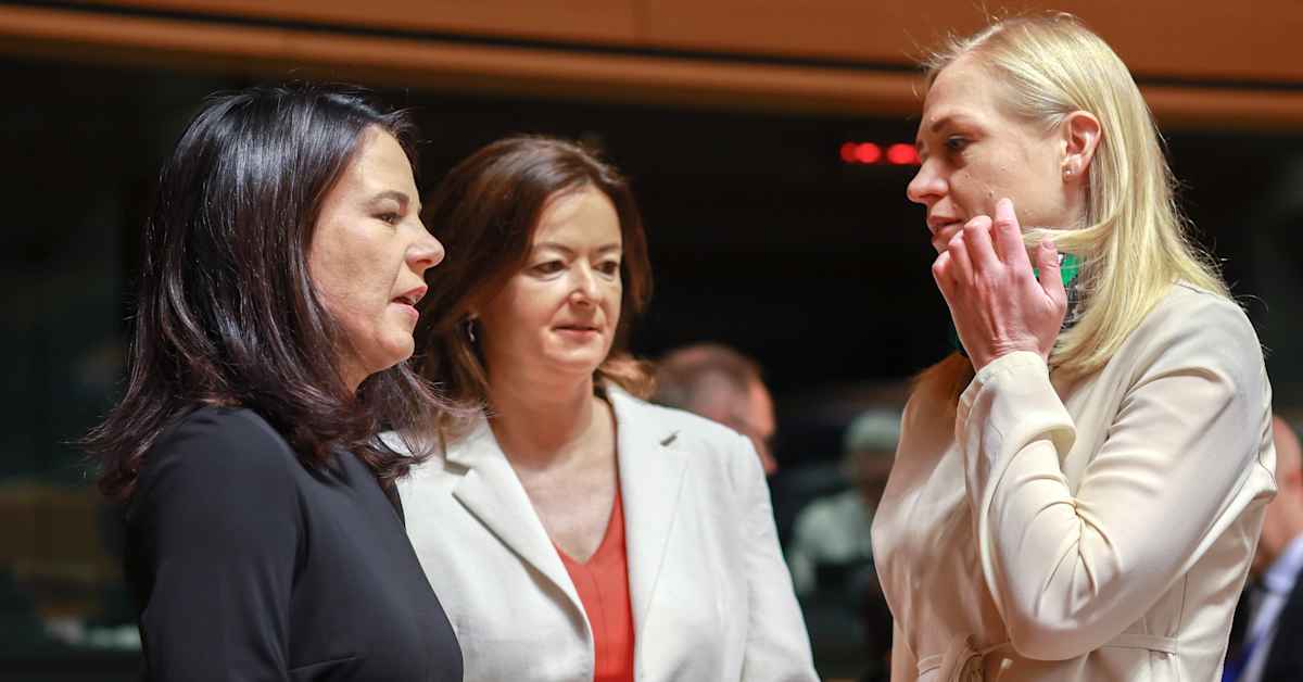 Image for article Valtonen meets with European foreign ministers, Tavio and Stubb head to Africa