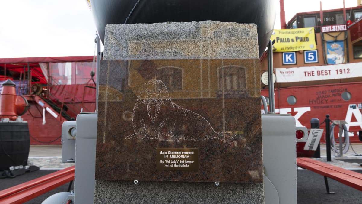 Graniittikivilaatta, johon on kaiverrettu mursun hahmo. Alla teksti metalliplakaatilla: Mursu IN MEMORIAM. The "Old Lady's last harbour Port of HaminaKotka".