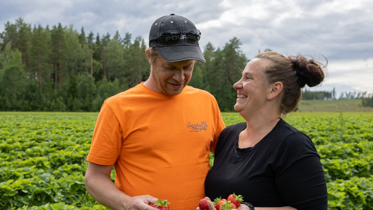 Syrjälän marjatilan omistajat Sami ja Taru Syrjälä katsovat toisiaan ja hymyilevät. Molemmilla käsissään mansikoita. 