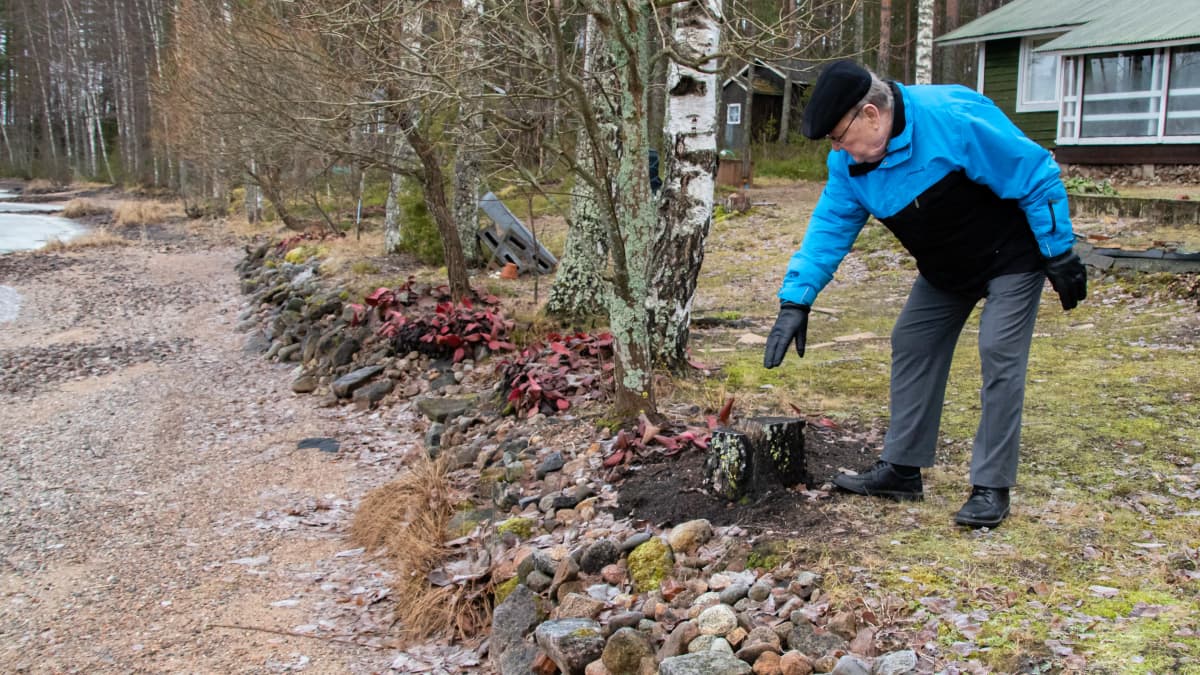 Heikki Kiiha näyttää mökillään Äitsaaressa vanhaa vedenkorkeutta, vesi on metrin alempana kuin normaalisti kuvaushetkellä