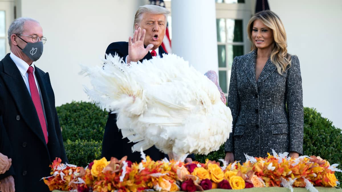 Kalkkunankasvattajien liiton puhemies Ron Kardel (vas.), presidentti Donald Trump ja rouva Melania Trump osallistuvat 1980-luvulla syntyneeseen perinteeseen, jossa Valkoiselle talolle lahjoitettu kalkkuna armahdetaan syötäväksi joutumiselta.