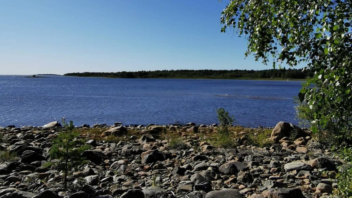 Meren rantaa Simossa Leuannokassa kesällä. 