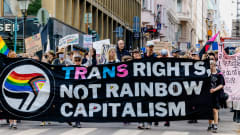 Marchers carrying a banner reading "Trans rights not rainbow capitalism"