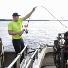 Keltapaitainen kalastaja vetää verkkoa kaarelle kalastusveneen kyydissä.