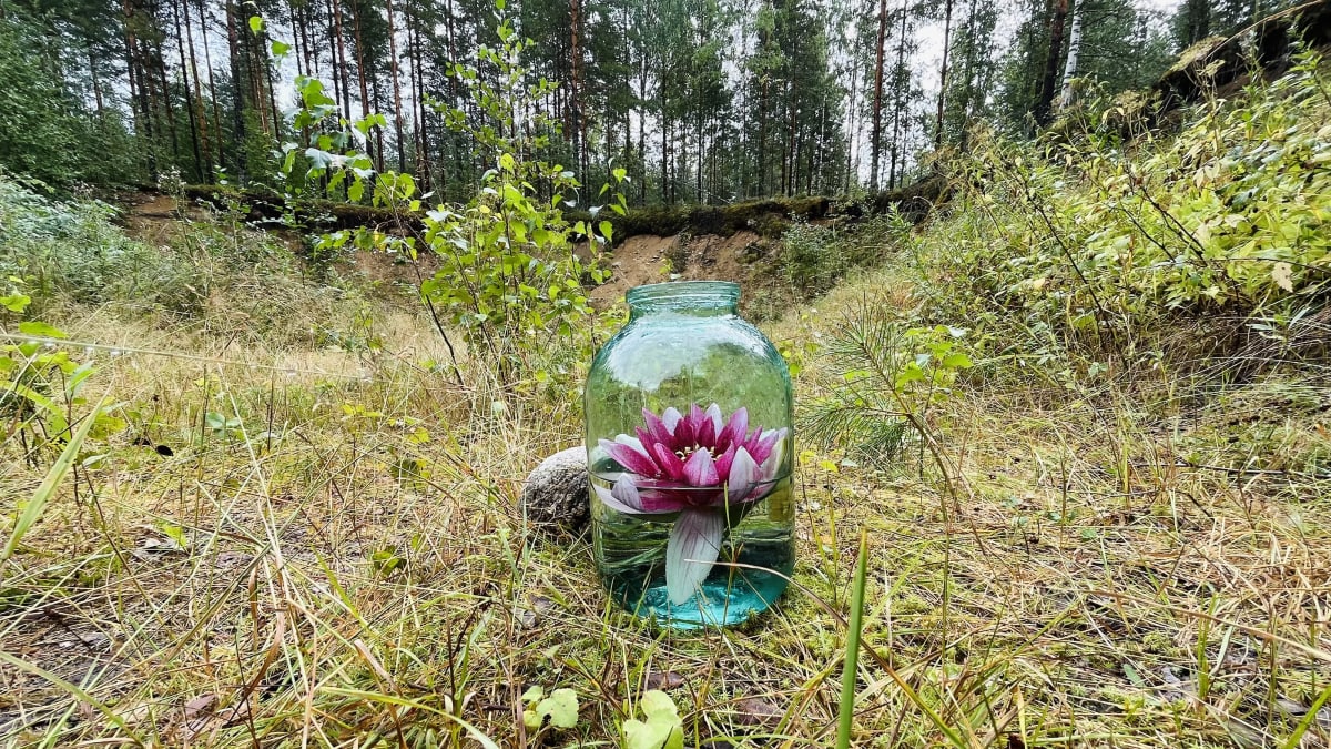 Hiekkamontun reunalla on lasipurkkiin säilötty pinkki kukka.