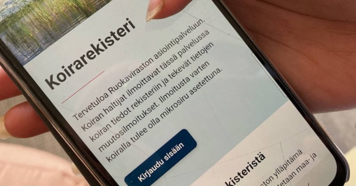 yle.fi