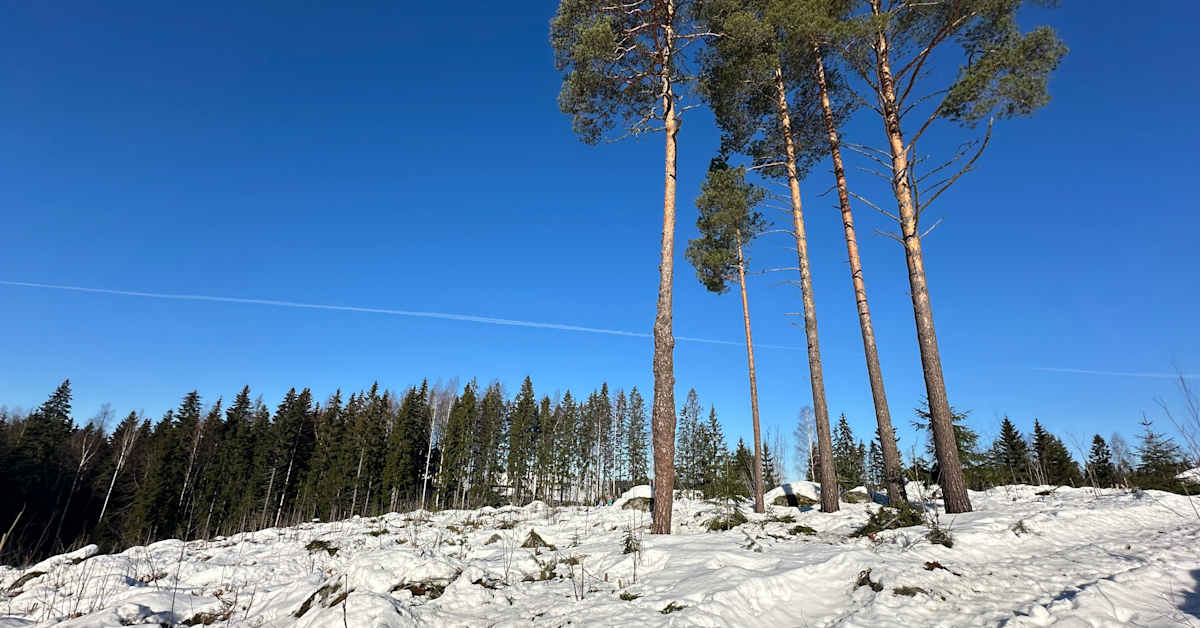 yle.fi