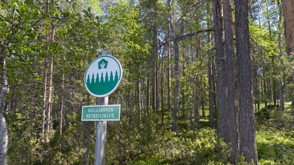Oulujärven retkeilyaluetta Oulujärven Kaarresalossa.