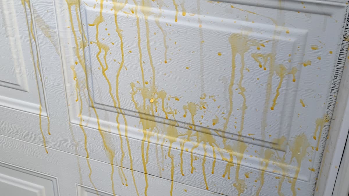 Kuvassa valkoinen autotallinovi, johon on heitetty raakoja kananmunia. 