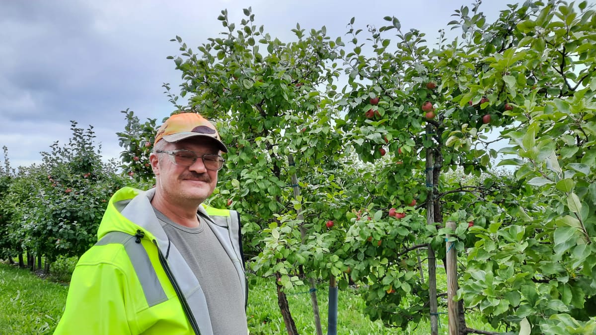 Omenanviljelijä Petteri Holopainen seisoo omenapuiden vieressä