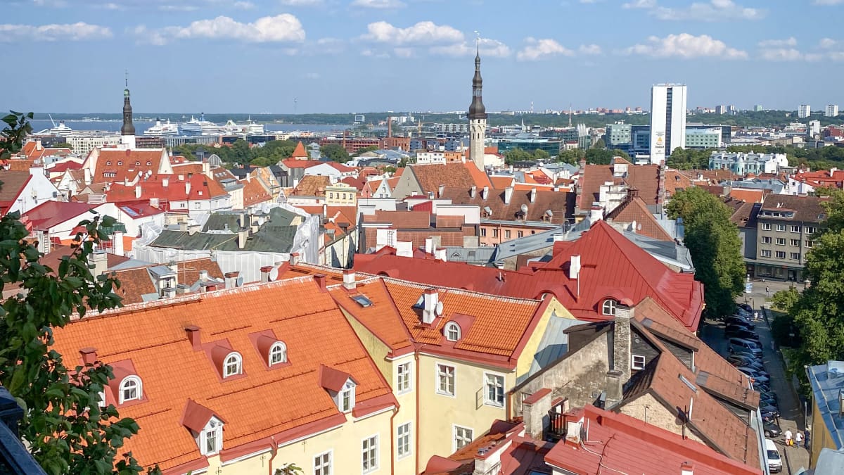 Yleisnäkymä Tallinnan keskustasta yläperspektiivistä, punaisia harjakattoja ja vaaleita rakennuksia,  taustalla satama.