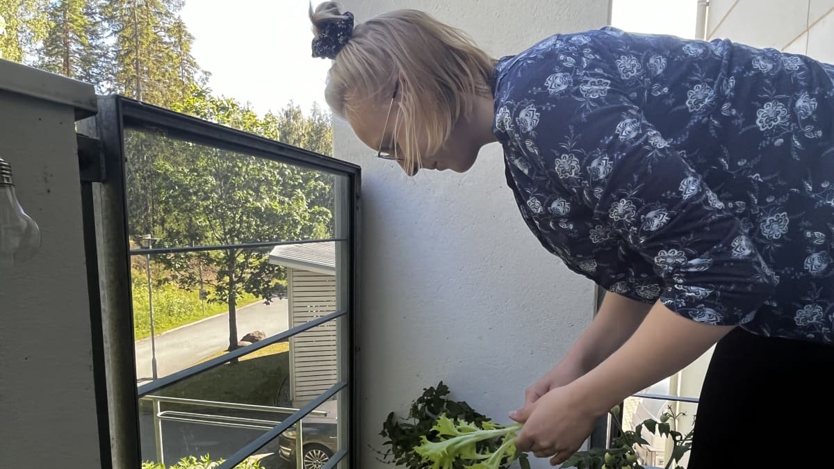 Nuori nainen kumartumassa parvekkeensa salaatti-istutukseen. Hän poimii salaatinlehtiä. Parvekkeella erilaisia kukkaruukkuja ja -penkkejä, joissa hyötykasveja.
