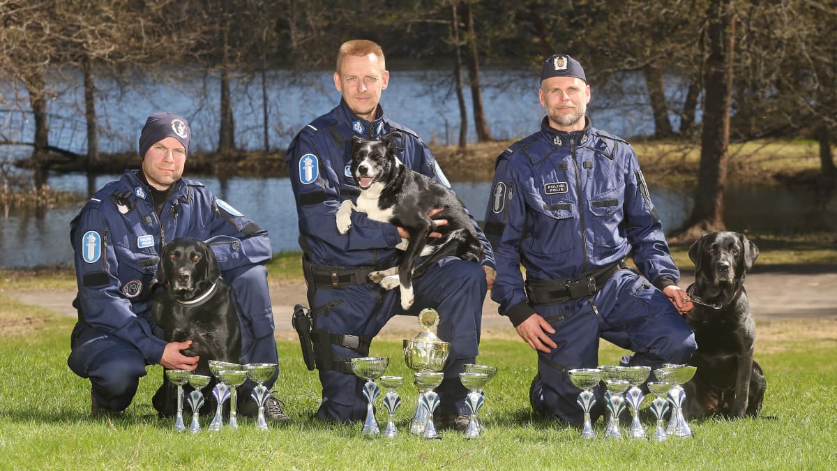 Poliisin huumekoirien SM-kilpailun mitalistit poseeraavat kouluttajinensa kuvassa.