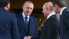 Turkin presidentti Recep Tayyip Erdogan kätteli Vladimir Putinin kanssa tapaamisessa Sotšissa 29.9.2021.