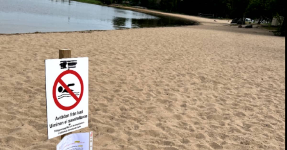 Windy weather prompts decline in toxic blue-green algae blooms - Vimarsana News