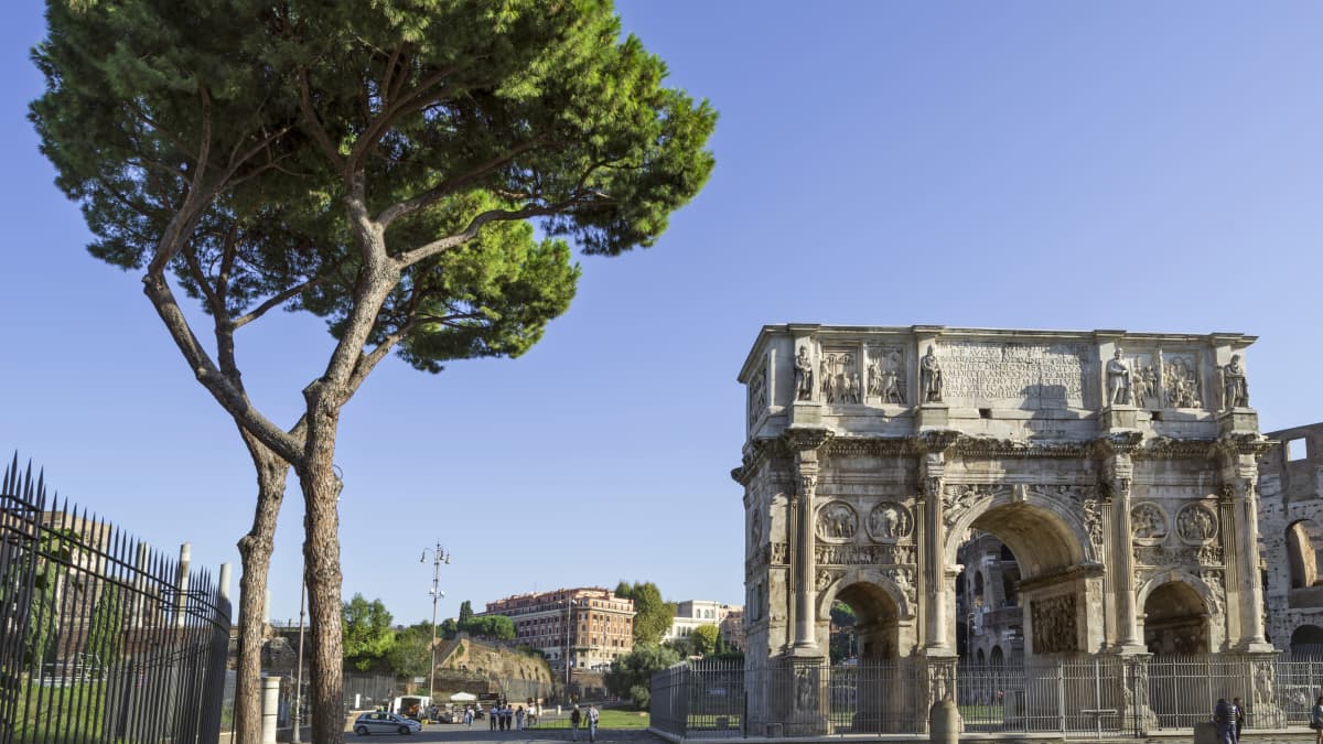 Pinjapuu Konstantinuksen riemukaaren luona Roomassa, Italiassa.