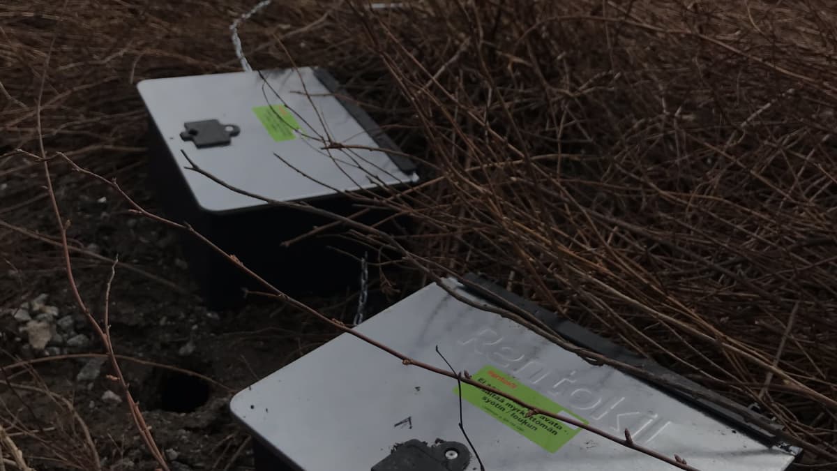 Kaksi Rentokilin rotanloukkua maassa.
