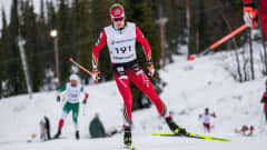 Juuso Tossavainen hiihtää Muoniossa vapaalla hiihtotavalla.