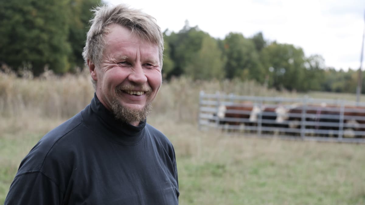 Maanviljelijä Antti Toivonen Sauvosta. taustalla tilan lehmiä Kulhon saarella Turussa