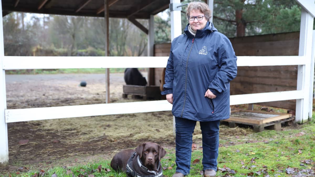 Ymmärrätkö, mitä lemmikkisi yrittää sanoa sinulle? Eläintenkouluttajan