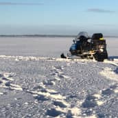 Moottorikelkka meren jäällä Perämerellä Kemin edustalla.