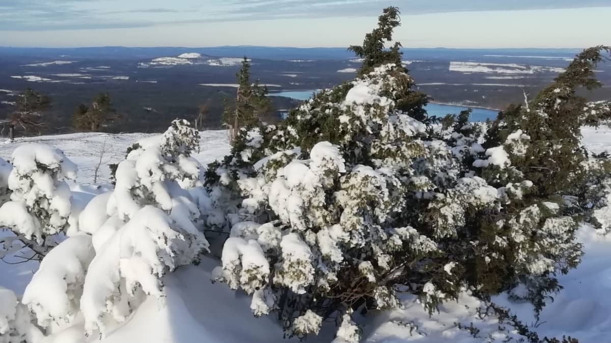 Talvinen maisemakuva pyhätunturilta.