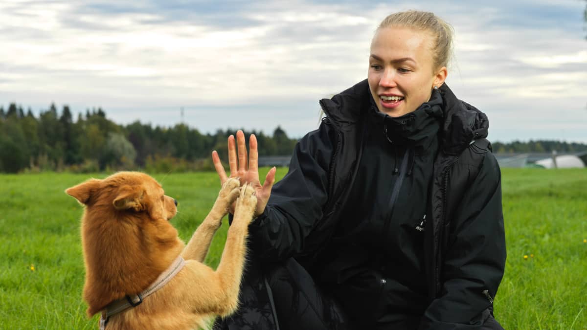 Elisa Hepola ja hänen Usva-koira antavat toisilleen ylävitosen.