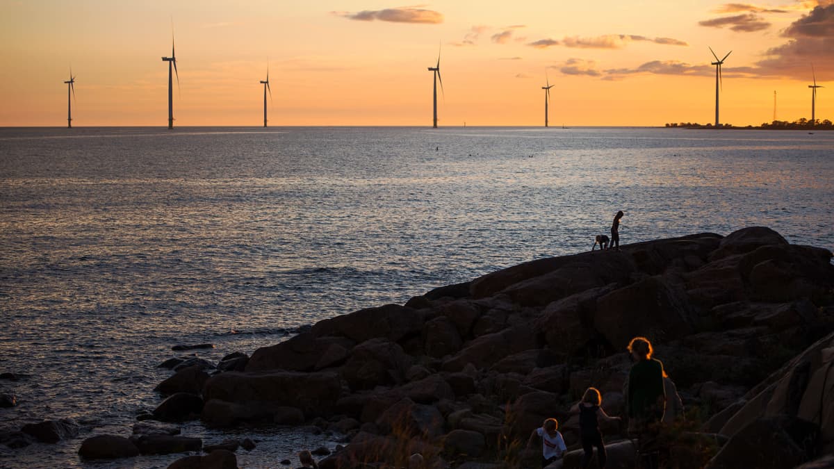 Tahkoluodon edustalla Porissa merimaisemaa hallitsee yhteensä 11 tuulimyllyn merituulipuisto.