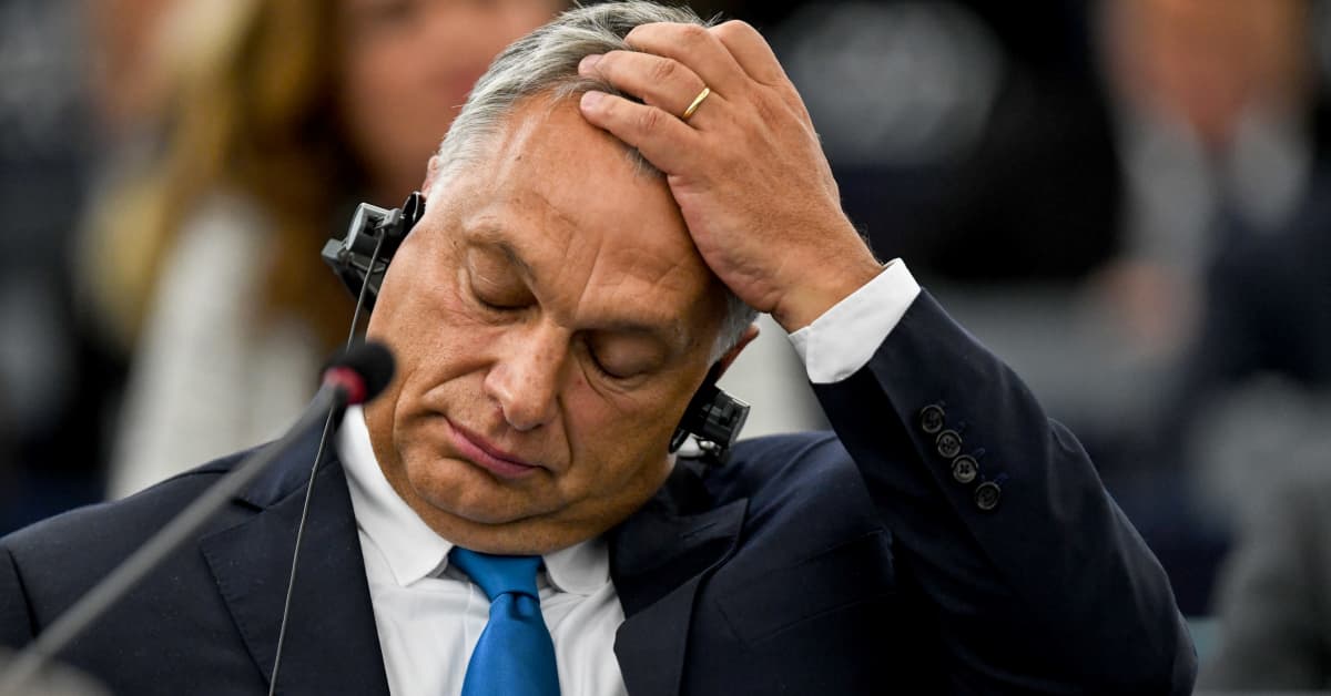 Visegrád-maat painostivat Unkaria – Orbán lupasi ratifioida Suomen ja Ruotsin Nato-jäsenyydet noin kuukaudessa