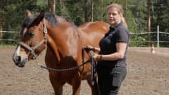 Hevosten koulutus | Yle Uutiset