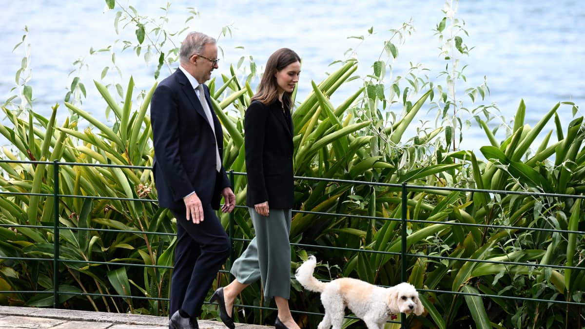 Anthony Albanese ja Sanna Marin kävelyllä, heidän edessään kävelee valkoinen koira.