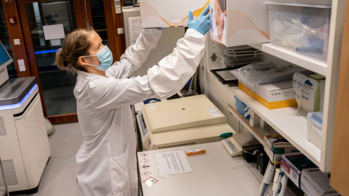 Sari Hannula ottamassa reagenssikasettilaatikkoa hyllystä FIMMin laboratoriossa.