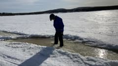 Inarijärven jäällä seisoo mies kelkkaurassa, jossa on ainakin 20 senttiä vettä. Aurinko paistaa jäälle. 